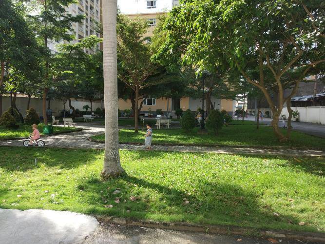 Khuôn viên nhiều cây xanh của chung cư IDICO Luỹ Bán Bích Tân Phú
